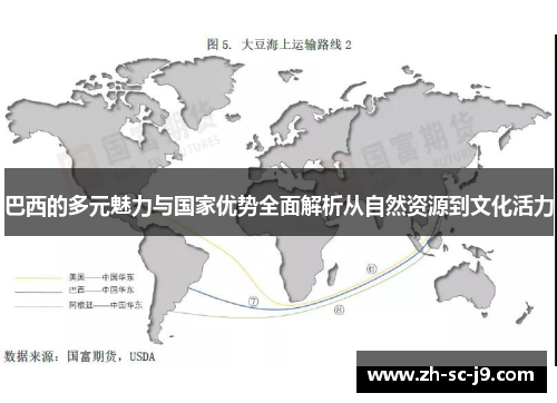 巴西的多元魅力与国家优势全面解析从自然资源到文化活力