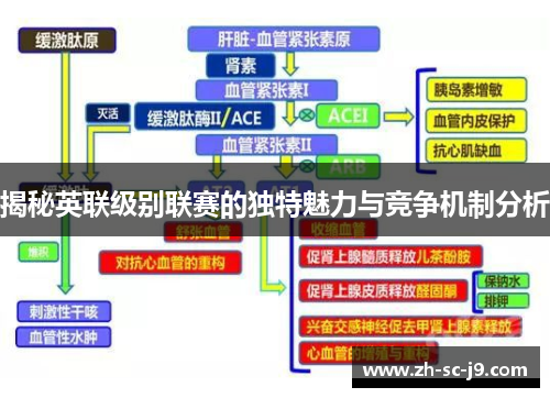 揭秘英联级别联赛的独特魅力与竞争机制分析