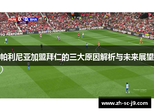 帕利尼亚加盟拜仁的三大原因解析与未来展望