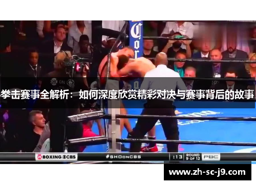 拳击赛事全解析:如何深度欣赏精彩对决与赛事背后的故事 拳击赛事全解析:如何深度欣赏精彩对决与赛事背后的故事