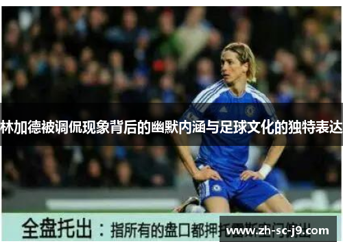 林加德被调侃现象背后的幽默内涵与足球文化的独特表达